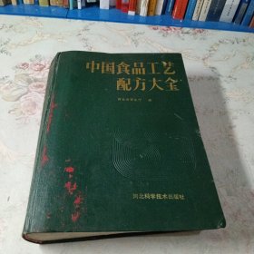 中国食品工艺配方大全