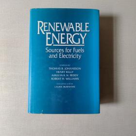 Renewable Energy: Sources for Fuels and Electricity （16开精装英文原版）