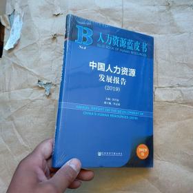 中国人力资源发展报告（2019）未开封