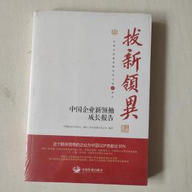 拔新领异 中国企业新领袖成长报告