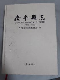 广平县志 : 1989-2009.