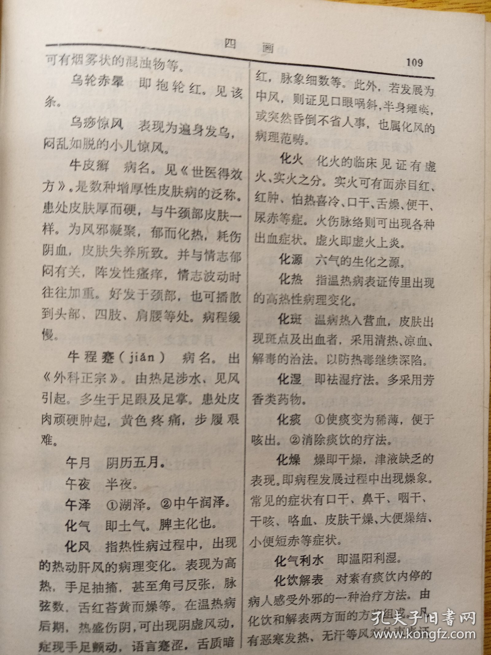 中医词释