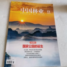 中国林业2021/11月期刊