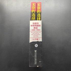 无奈的选择：冷战与中苏同盟的命运 上下