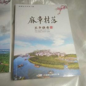 麻章区文史第十辑 麻章村落（湖光镇 湖光农场卷、太平镇卷、麻章镇卷共3本合售）