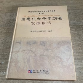 唐惠庄太子李沩墓发掘报告：陕西省考古研究所田野考古报告第26号