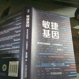 敏捷基因：数字纪元的组织 人才和领导力