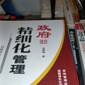 政府精细化管理