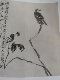 画页（散页印刷品）—书画——金刚坡山水【傅抱石】。大炼钢铁【宋文治】。山居图【陆俨少】。山水石榴雄鸡，枝头小鸟【齐白石】。携琴访友，竹林七贤，兰竹对屏【吴昌硕】。香山九老【王震】1781，