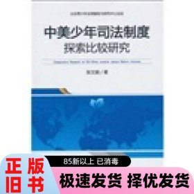 中美少年司法制度探索比较研究