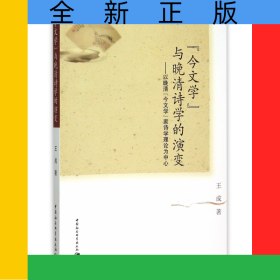 今文學(xué)與晚清詩學(xué)的演變--以晚清今文學(xué)家詩學(xué)理論為中心