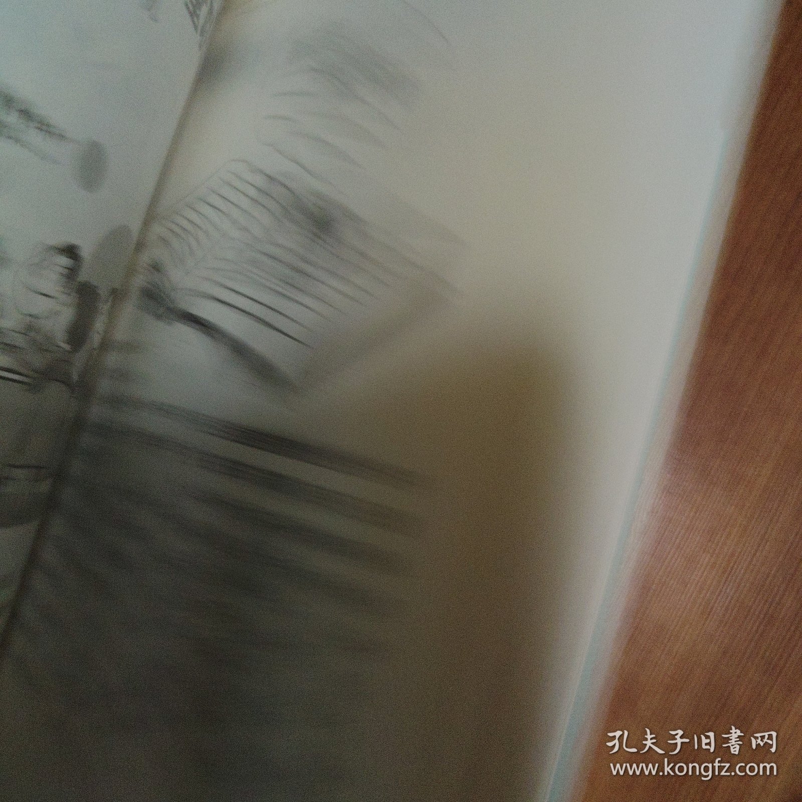 中外管理故事与哲理丛书：鲁能烧鹅仔的管理故事与哲理