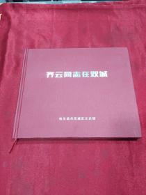 齐云同志在双城