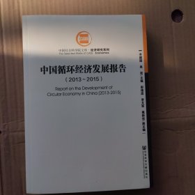 中国社会科学院文库·经济研究系列,中国循环经济发展报告