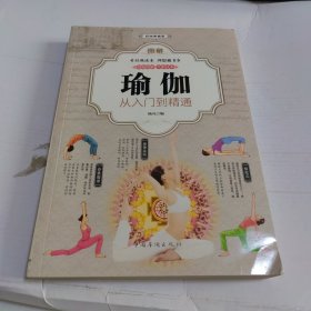 图解瑜伽 : 从入门到精通