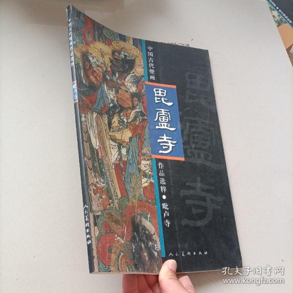 中国古代壁画作品选粹：毗卢寺