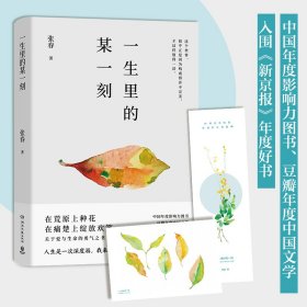 【正版图书】 一生里的某一刻 张春 湖南文艺出版社 9787540479541