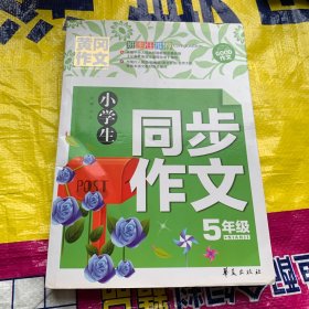 小学生同步作文五年级