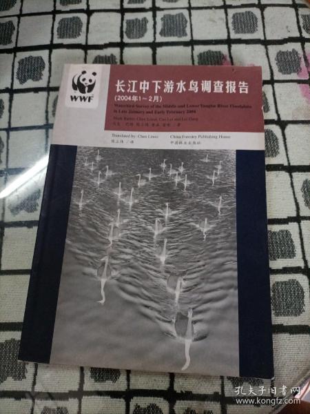 长江中下游水鸟调查报告:2004年1~2月:[中英文本]