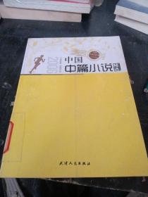 2006年度中国中篇小说精选（文本分析版）下
