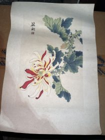 木版水印 杨敏（敏湖）画作《秋菊》 一幅（纸本托片，尺寸：36.6*24.9cm）