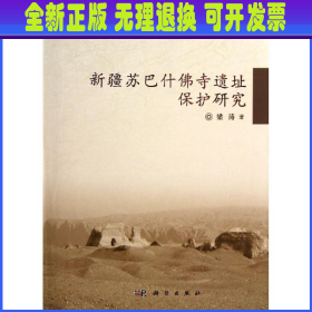 新疆苏巴什佛寺遗址保护研究