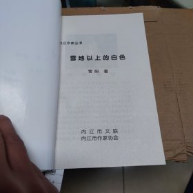 《内江作家丛书》