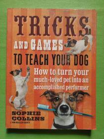 TRICKS AND GAMES TO TEACH YOUR DOG