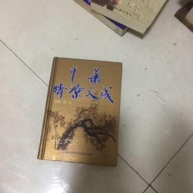 中华脐疗大成