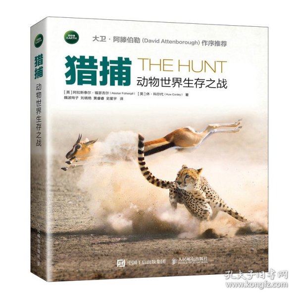 猎捕：动物世界生存之战