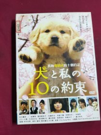 DVD 我和寻回犬的十个约定 拆封