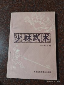 少林武术梅花枪，武术书籍，武术古籍，武功秘籍类 8品12