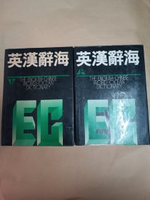 英汉辞海 (上下)