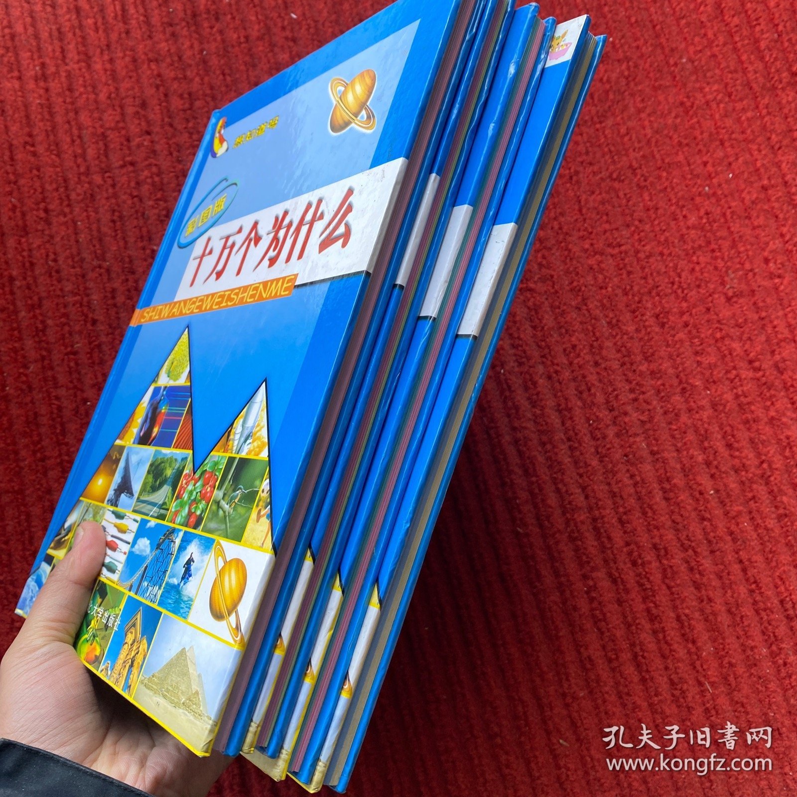 十万个为什么（全4册）