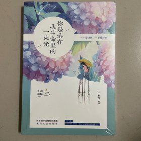 你是落在我生命里的一束光