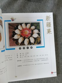 中国地方特色菜书系：新疆特色菜