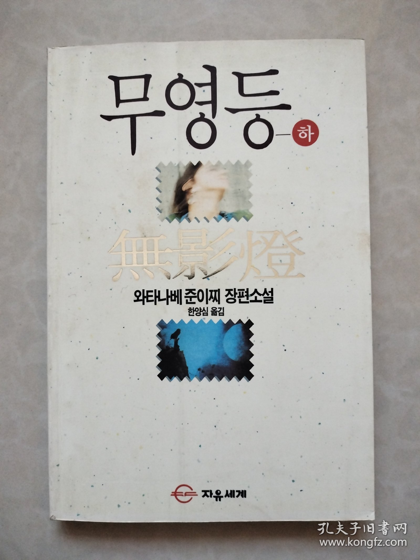 渡边淳一长篇小说 无影灯 下册