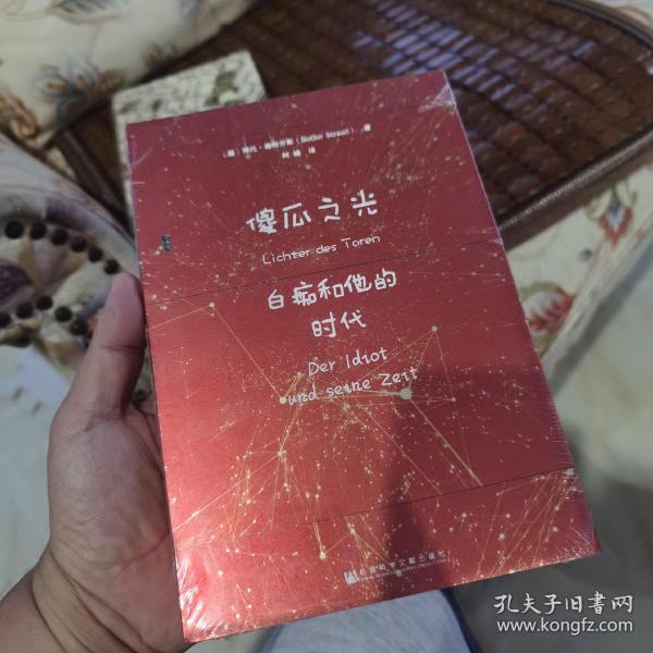 甲骨文丛书·傻瓜之光：白痴和他的时代