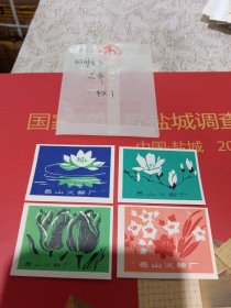 四川名山火花花卉4全