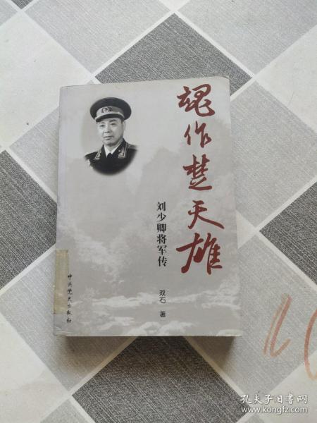 魂作楚天雄：刘少卿将军传