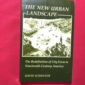 The New Urban Landscape: The Redefinition of City Form in Nineteenth-Century America