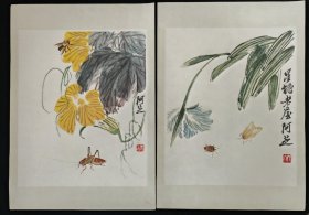 8开画页-倭瓜花蝈蝈、蝴蝶兰蛾子（1956年，齐白石）