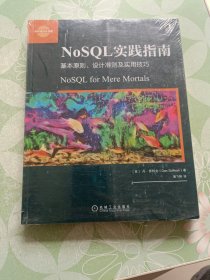 NoSQL实践指南：基本原则、设计准则及实用技巧