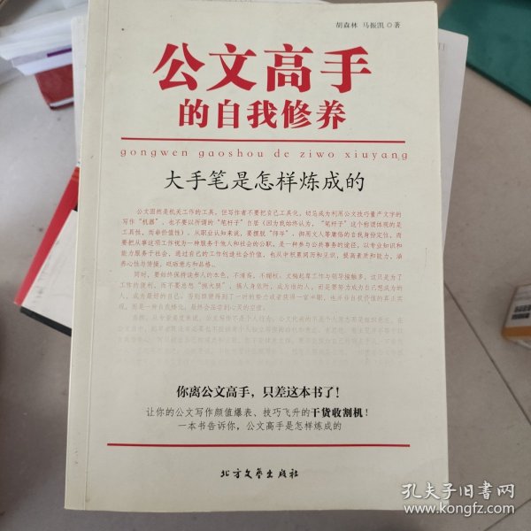公文高手的自我修养：大手笔是怎样炼成的