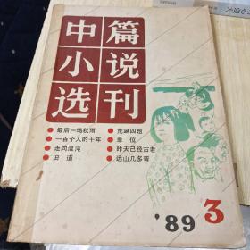 中篇小说选刊【1989年第3期】