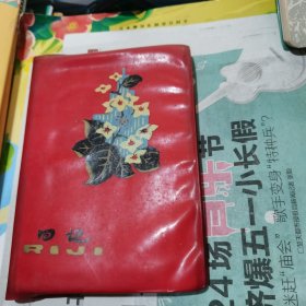 塑料日记（包邮）1978年武汉建文印刷厂