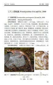中国两栖动物图鉴：野外版 费梁 9787534999949