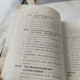 内生拓展:中国少数民族经济发展的理念、根据、条件、战略