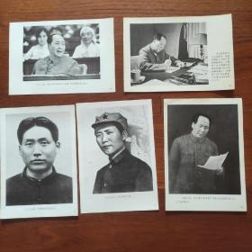 毛泽东照片一组、存五张