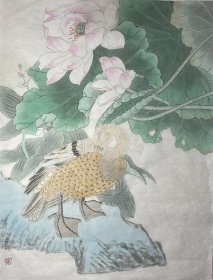 zq.6. 著名工笔画家张琦精品草虫《荷花小鸟》，保真，假一罚十。